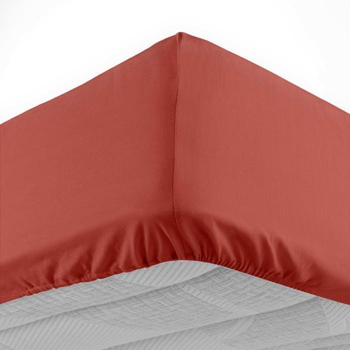 Drap housse - EDEN - Line - 140x190 cm - 100% coton 57 fils/cm² - Bonnet 30 cm - Terracotta