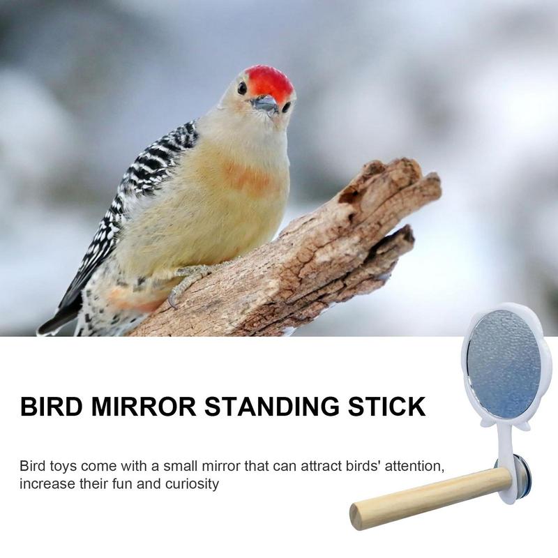 Bird Cage Mirror Birds Toys For Cage Interactive Play Toys Bird Mirror Standing Stick Birds Toys For Parrot Parakeet Budgies