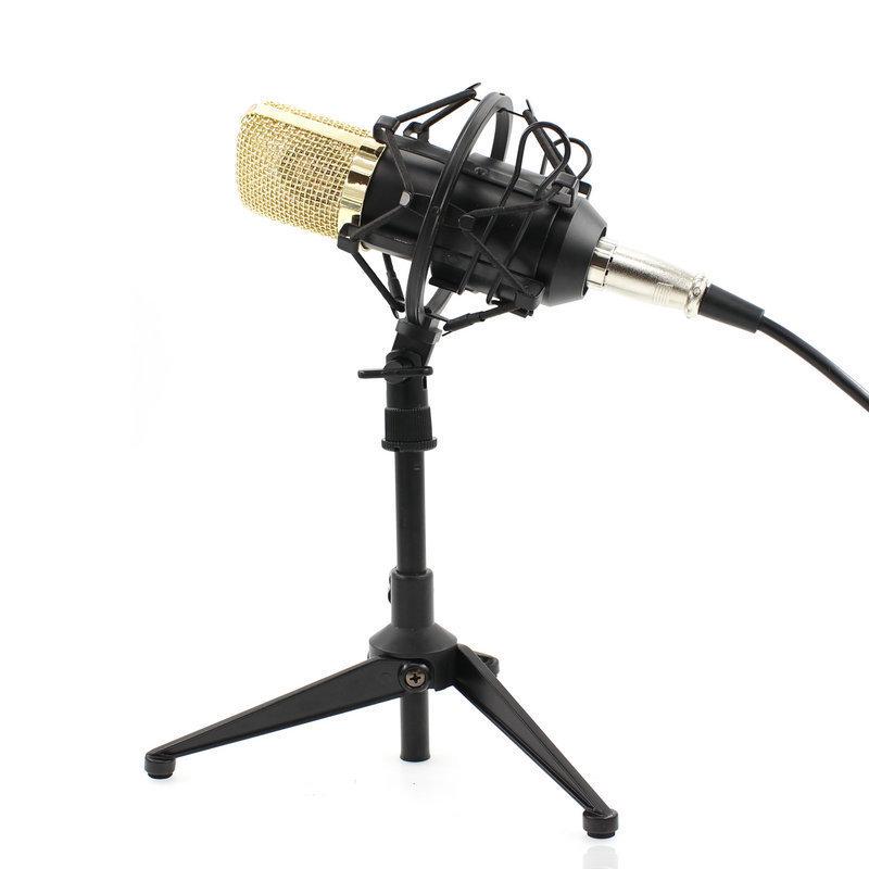 BM700 Large Diaphragm Condenser Microphone with External Sound Card for Computer Recording and MC Hosting
