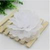 Paper Flower Balls: Festival, Birthday, Party, Wedding & Event Decorations Streamers (European & American Style)