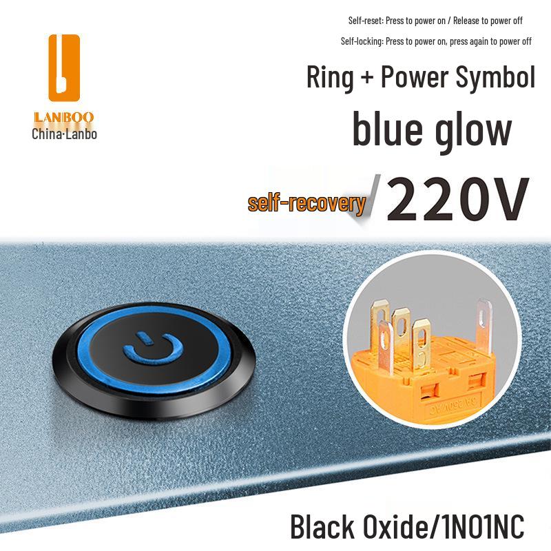 Lanbo 22A Stainless Steel Illuminated Self-Locking Momentary Push Button Elevator Switch