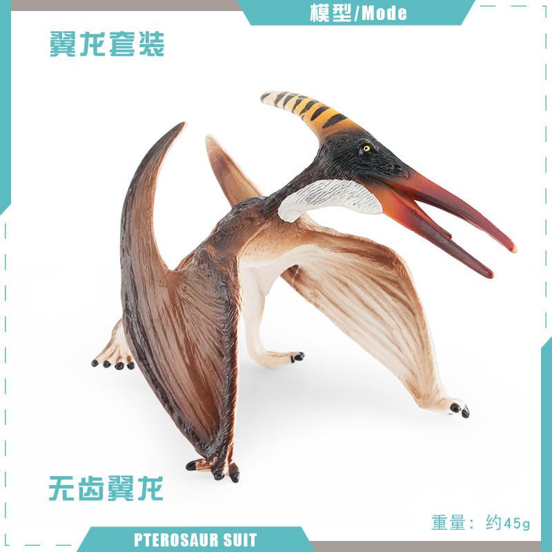 Realistic Pvc Jurassic Dinosaur Model For Kids Featuring Toothless Pterodactyl Display