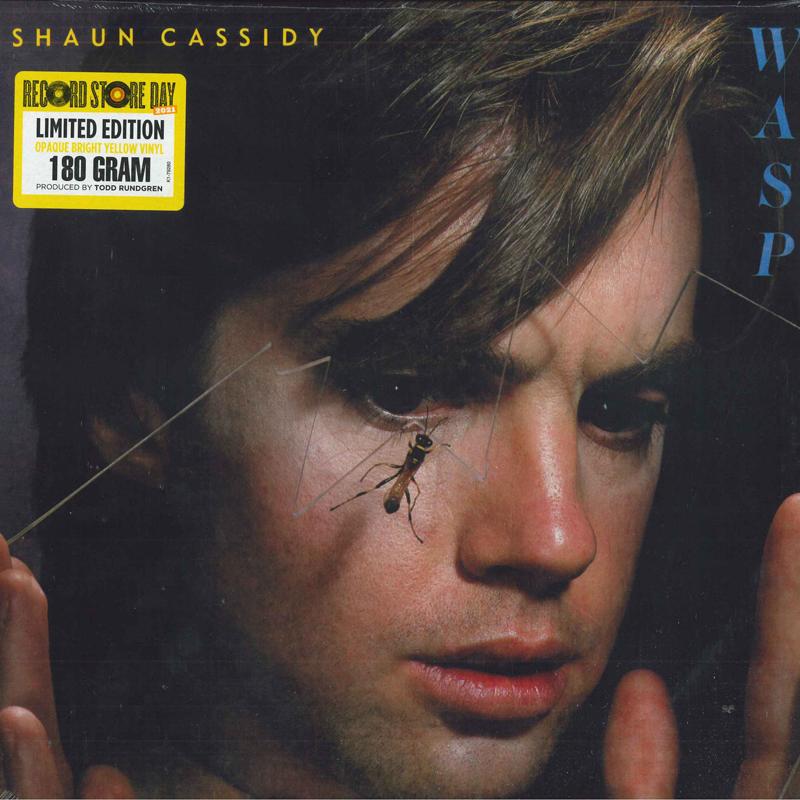 

LP Record SHAUN CASSIDY - Wasp D179280 Curb Records 2021 US Rock