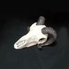 Aquarium Handicraft Skull Crafts Decoration FishTank Landscape Supplies