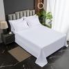 Pure White 3-Piece Hotel Linen Set: Thick Bed Sheet & Duvet Cover for Homestay