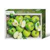 1000 piece jigsaw puzzle - fresh green apple, popular Korean puzzle