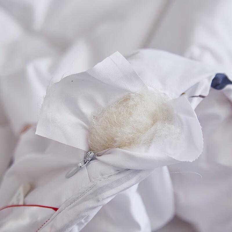 Hengyuanxiang Xiangyi Wool Blend Winter Quilt