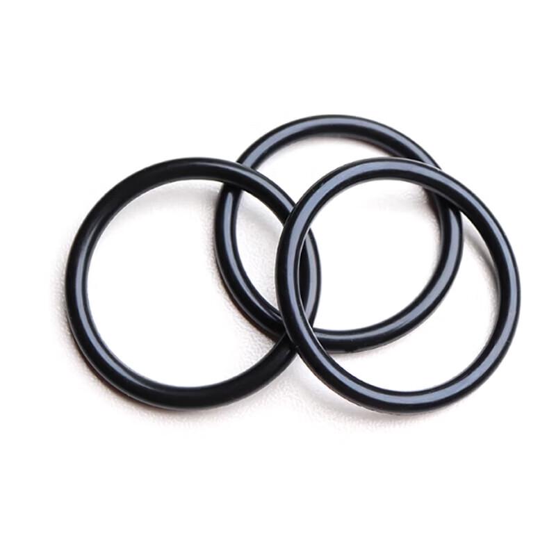 Junyou FKM O-Ring P-10A