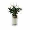 High Transparent Mini Fish Tank Imitation Glass Lazy Flower Pot Hydroponic Vase  Desktop Deco