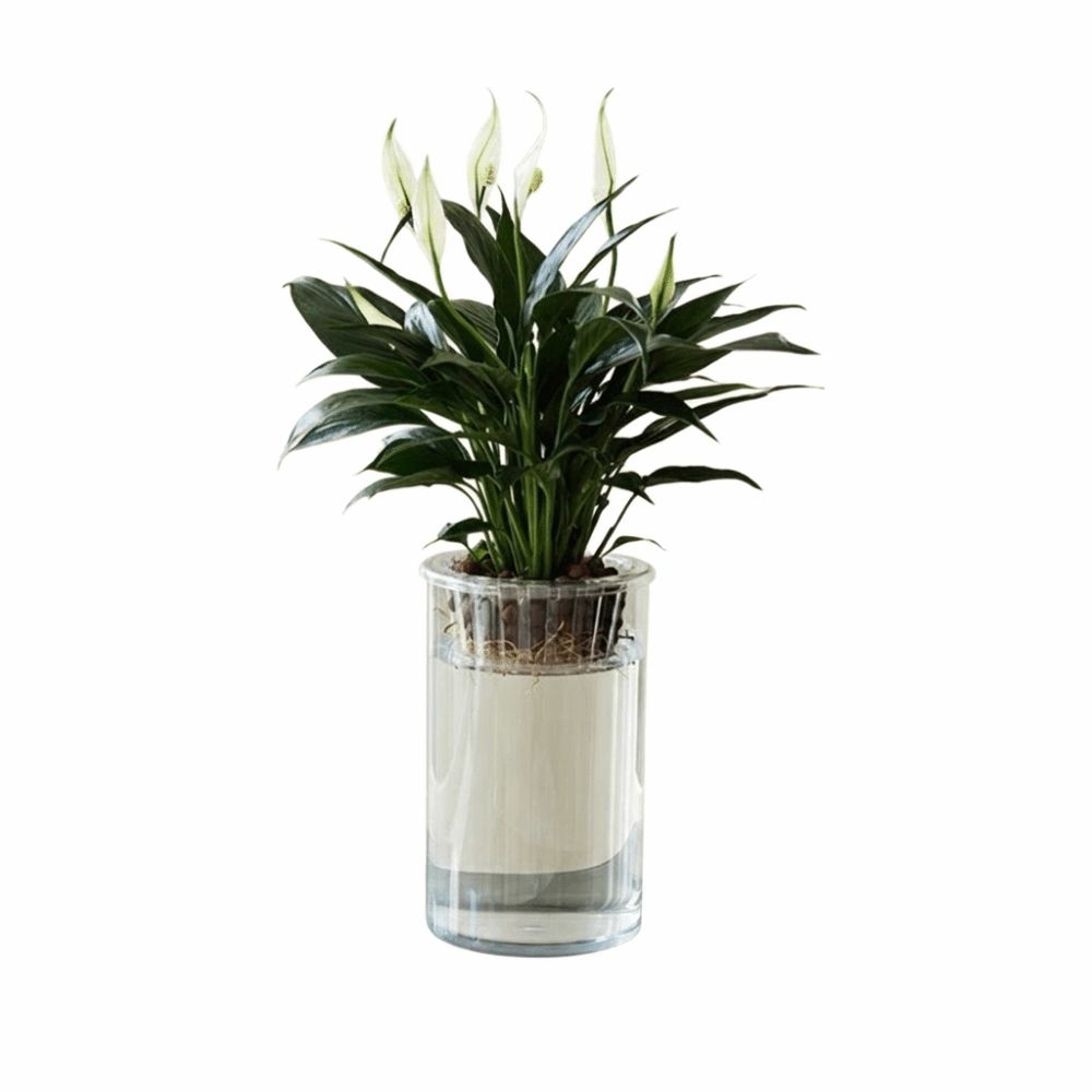 High Transparent Mini Fish Tank Imitation Glass Lazy Flower Pot Hydroponic Vase Desktop Deco