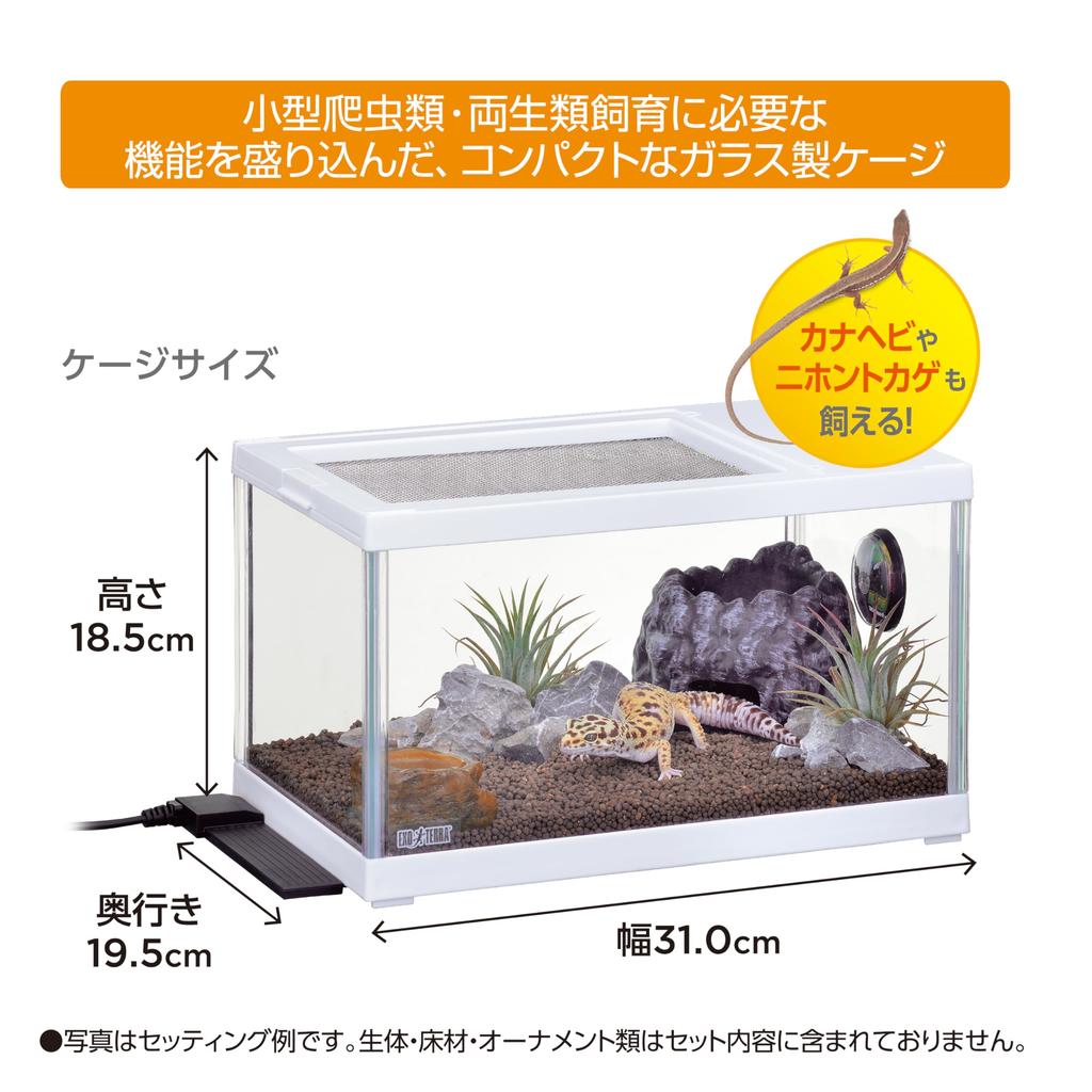 GEX EXO TERRA Leopard Gecko Breeding Kit S a Glass Cage Starter Set with Heater for Leopard and Other Approximately 30cm TV, 6-piece Geckos, Lizards,