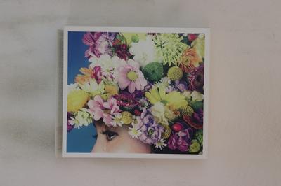 CD MOTOHARU SANO - Maniju POCE9393 UNIVERSAL MUSIC 2017 Japan Obi Japanese Pop/Rock Used