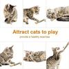 Cat Toys Cleaning Teeth Silvervine Chew Stick Pet Snacks Sticks Natural Stuff with Catnip for Kitten Catnip Teasing Chew Toys