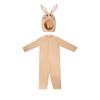 Easter Bunny Costume Adorable Carrot Plush Jumpsuit Winter Festival Stage Performance Attire Halloween Christmas Clothes Set
