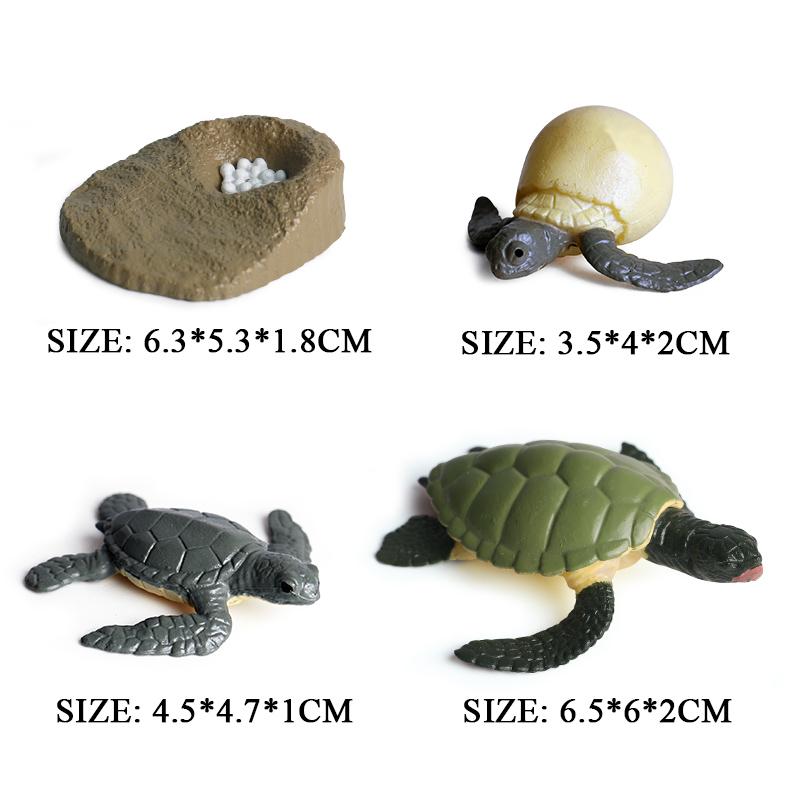 Oenux Ocean Animals Leatherback Tortoise Turtle Growth Cycle Sea Life Model Figurines Action Figures PVC Education Kid Toy Gift