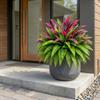 Dracena Artificiale Resistente ai Raggi UV Felce di Boston Pianta di Banano Simulazione Patio Balcone Portico