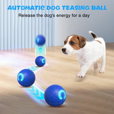 Psy – Zabawki dla psów