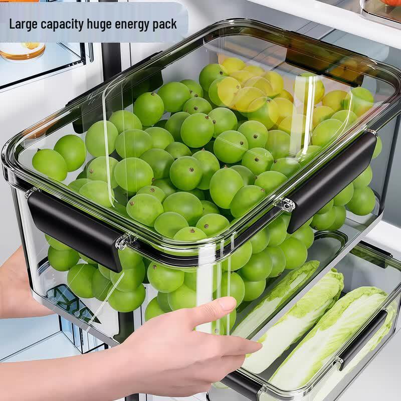 Japanese Refrigerator Food Storage Containers