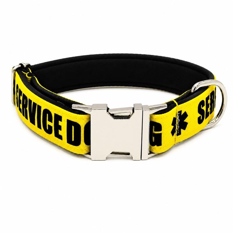 Personalized Pet Collar Custom Free Engraving Puppy Name ID Tag Adjustable Basic Service Dog Pet Collars Leash, 3 Colors