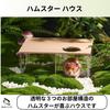 RekiLife Hamster House, Clear, Transparent, Hideaway/Play Area for Small Animals, 28 x 21 x 11 cm