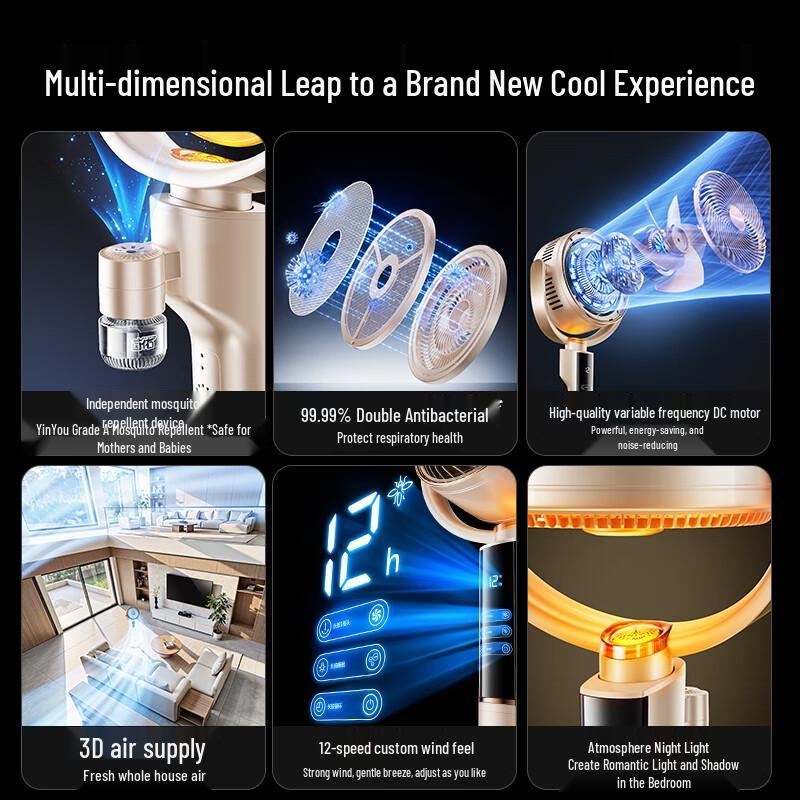 Skyworth Q539 Smart AI DC Floor Air Circulation Fan CN plug (adapter included)