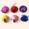 Mini Fascinator Hut Haarspange Mädchen Viktorianisches Themenparty Kostüm Haarnadel Haarschmuck Modische Haarteile