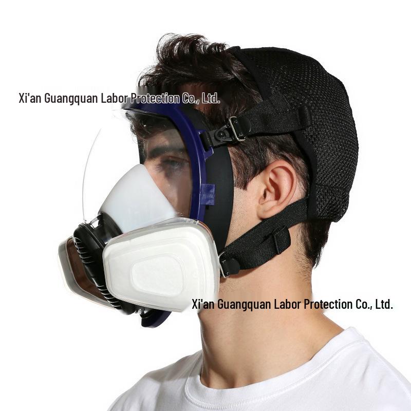 8100 Sphere-D Full Face Respirator Mask for Spray Painting, Chemicals, Pesticides, and Dust, with Wide Field of View