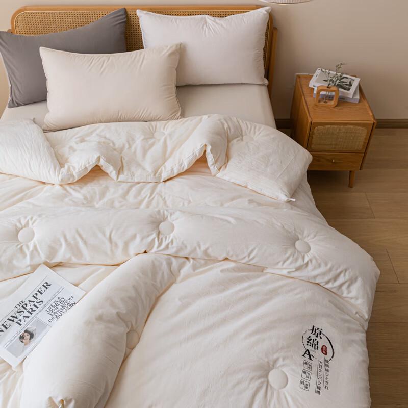 Jeliya All-Season Soybean Protein Blended Quilt