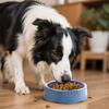 Slow Food Dog Bowl, An Interactive Puzzle Toy For Pet Food Training, Keeps Dogs Busy And Puppy Overeating!