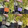 Lindy Cute Bag Pendant With Soft Faux Leather For Keys And Backpack Decor