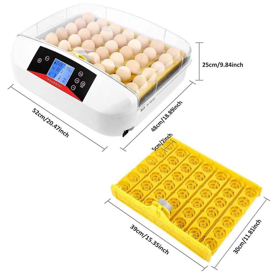 Incubatrice per 42 Uova, Schiuditore Automatico con Candela per Uova