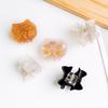 Bamboo Yao Jewelry: Cute Kitten Acetate Hair Clip - Cartoon Cat Acrylic Accessory