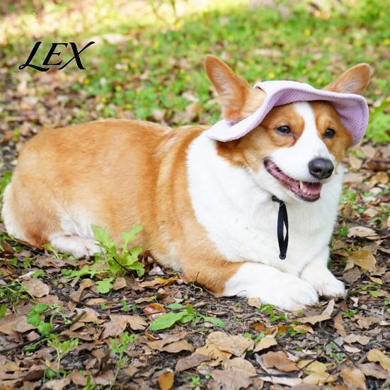 Comfortable Soft Pet Headgear Corduroy Dog Baseball Cap, Cat Summer Beach Visor Hat with Ear UV Blocking Gear Holes, Adjustable Puppy Sunbonnet