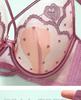 French Style Ultra-Thin Breathable Large Bust Minimizing Push-Up Bra with Soft Underwire and Rabbit Ear Crystal Cup