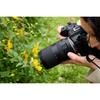 Tamron 18-300mm F/3.5-6.3 Di III-A VC VXD Canon RF Mount [B061R] Black
