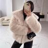 Women's Autumn and Winter New Imitation Fur Jacket Top Women's Wool Short Plush Jacket