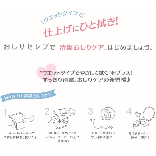 Nepia Buttocks Celeb Wet Refill, 60 Count (Set of 4)