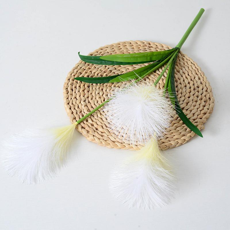 

Australis Phragmites Decor With Fine Texturing For Event Interior Decorate