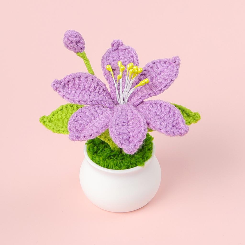 Hand-Knitted Wool Fake Flowers Set: Sunflower, Carnation, Tulip - Desktop Decor, Teacher/Student Gift, Everlasting Bouquet