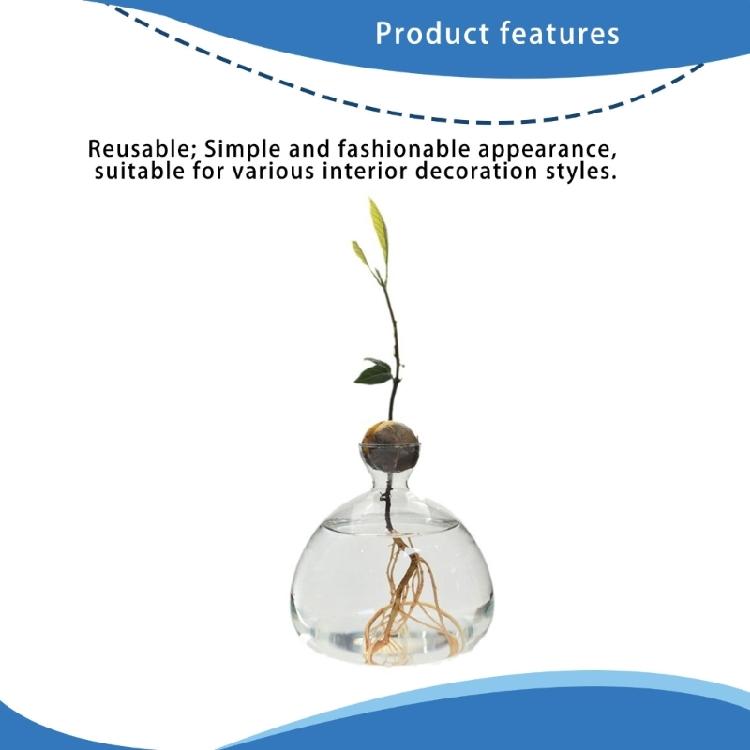 Klare Hochborosilikatglas Avocado Anzuchtvase Hydroponische Blumenvase Pflanzenbehälter Wachstumsvase Geschenk
