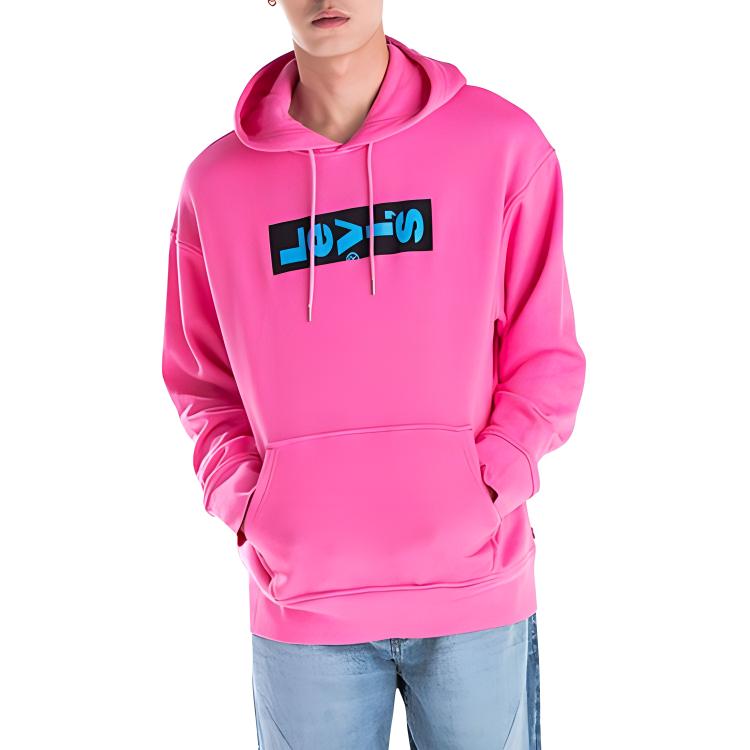 

Мужская толстовка с капюшоном Levis Loose Fit Logo Casual Purple 72632-0007