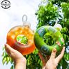 Cute Donuts Water Bottle For Kids Cartoon Silicone Portable Travel Round Cup Portable Anti Fall Plastic Cup Kids Gift 500ml