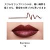 SHISEIDO Makeup Liner Ink Duo 12 Espresso 0.9g/0.2g lip liner pencil (twist-up type) fine line cover moisturizing brown