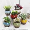 FaceColor Glazed Succulent Size Stylish Ceramic Glazed Set of 10cm Diameter x with Drainage and Bottom Net Not Pots, 3, Japanese-Style Planter,