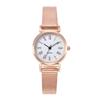 Ladies Mesh Strap Small Dial Casual Fashion Quartz Watch Junior High School Student Simple Watch