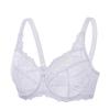 Large Size Floral Glamour No Sexy Lace Makes Bust Look H100 [DELIMIRA] Bra, Lace, Bust, Underwired, Pads, Bra, Smaller, White,