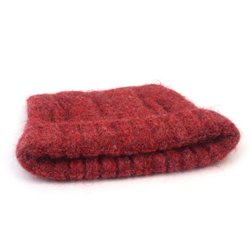 Universal Chemistry Wool Cat Red Beanie