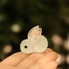 Luminous Micro Landscape Rabbit Ornaments Glow in The Dark Bunny Figurines for Moss Micro-Landscapes Fish Tank Decoration DIY Accessories