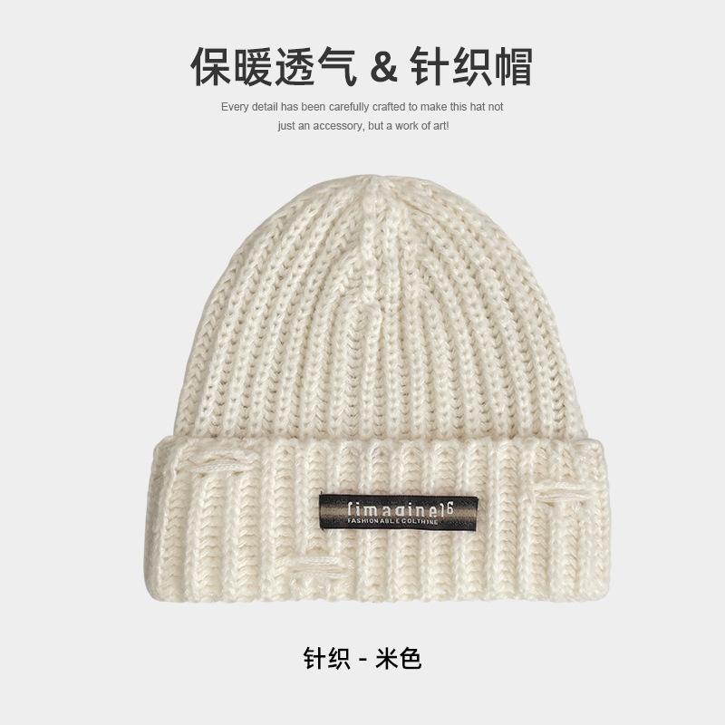 Letter Knitted Wool Hat Women's Autumn and Winter Versatile Thickened Thermal Ear Hat Couple Street Shot Trendy Cold Hat