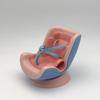 Seat Car Toy Car Decoration Home Decoration Suitable for 1.0 & 2.0 & 3.0